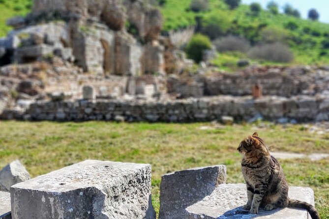 All Inclusive Private Half-Day Ephesus and Sirince Village Tour with Lunch - Guides, transport, and the private format