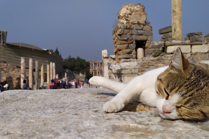 Best of Ephesus Tour From Kusadasi: Temple of Artemis, St John Basilica, Isa Bey Mosque - The Temple of Artemis in a short visit