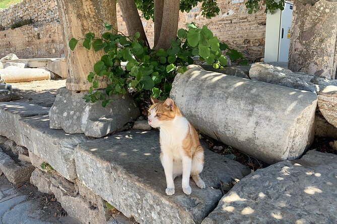 Customize Your Ephesus Trip With Your Guide & Vehicle - What the $85.98 price really covers