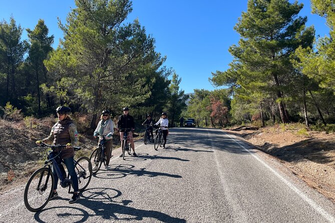 Cycling Through Vineyards & Farm Lunch & Ephesus visit - What $149 buys you