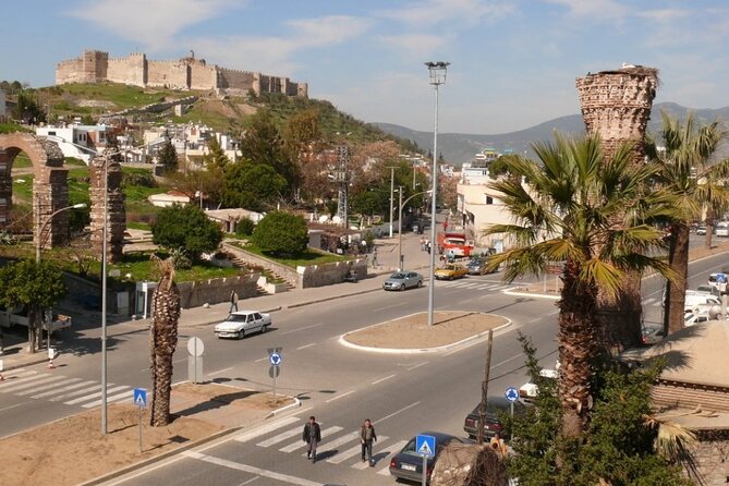 Ephesus and House of Mary from Kusadasi Cruise Port - Lunch, apple tea, and the value of the $140 price