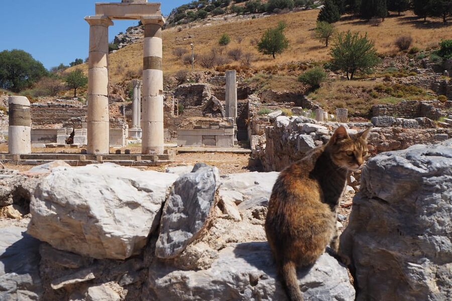 Ephesus: Half-Day Tour from Kusadasi - The Temple of Hadrian and small details worth finding