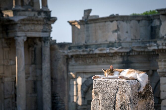 Ephesus: Private Tour with Skip-The-Line & Less Walking - Lunch, tickets, and the true price