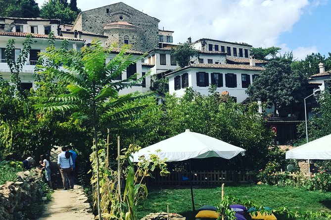 Ephesus Shore Excursion: Private Guide and Vehicle - How the private format affects value