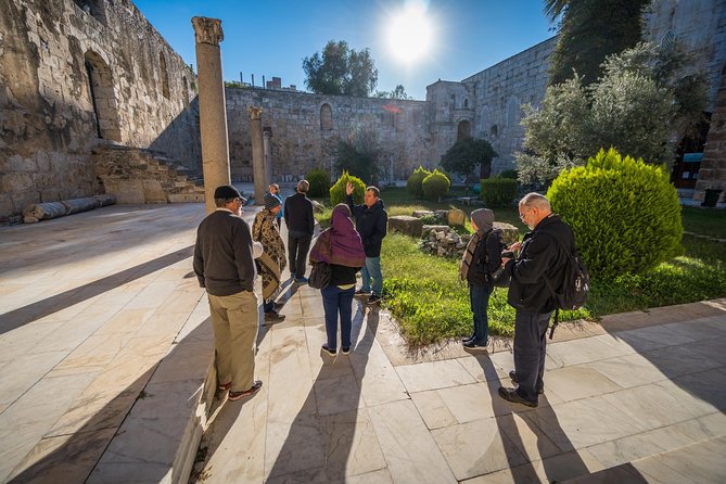 Ephesus Small Group Day Tour from Kusadasi - The Odeon and civic life