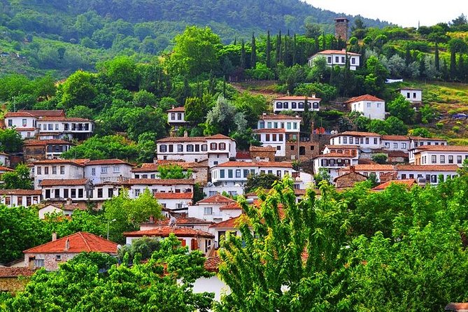 Ephesus Tour from Kusadasi Port - NO SHOPPING STOPS, Guaranteed - Selcuk, the gateway to Ephesus