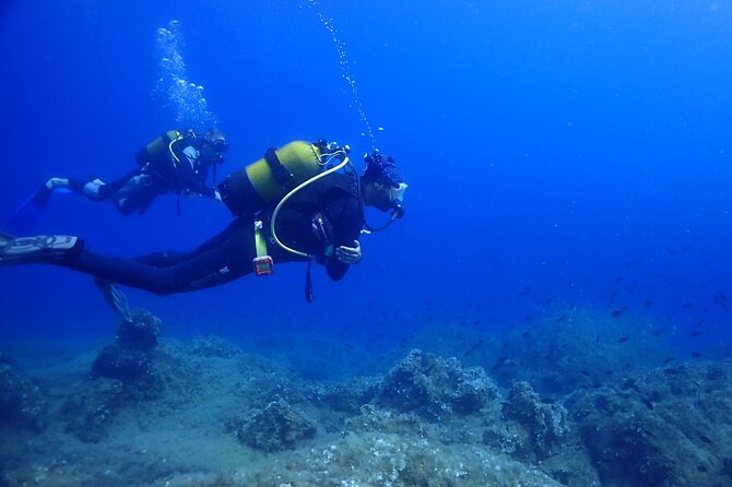 Explore World's Largest Plane Wreck by Scuba Diving in Kusadasi - Seeing the cockpit and passing through the wreck