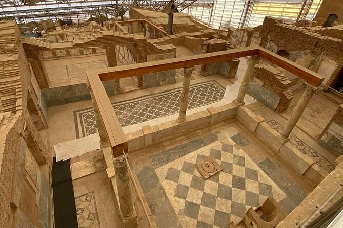 FOR CRUISERS: Private Ephesus Tour with GUARANTEED ON-TIME RETURN - Optional Terrace Houses for a closer look at daily life