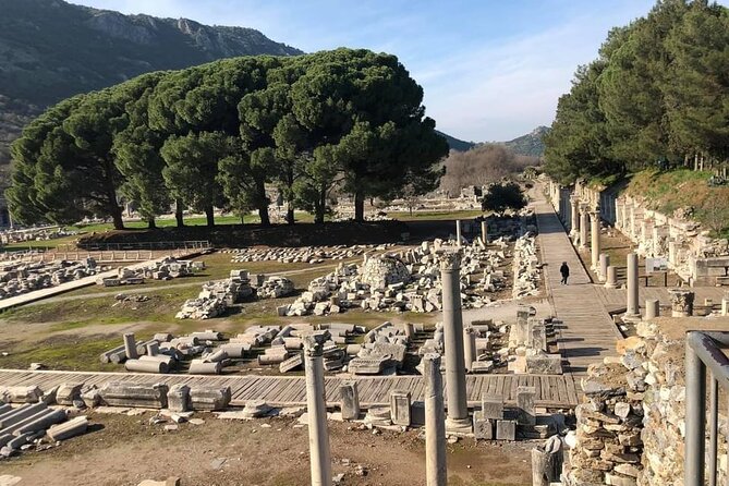 FOR CRUISERS: Private Ephesus Tour with GUARANTEED ON-TIME RETURN - Ephesus in two hours: the main event
