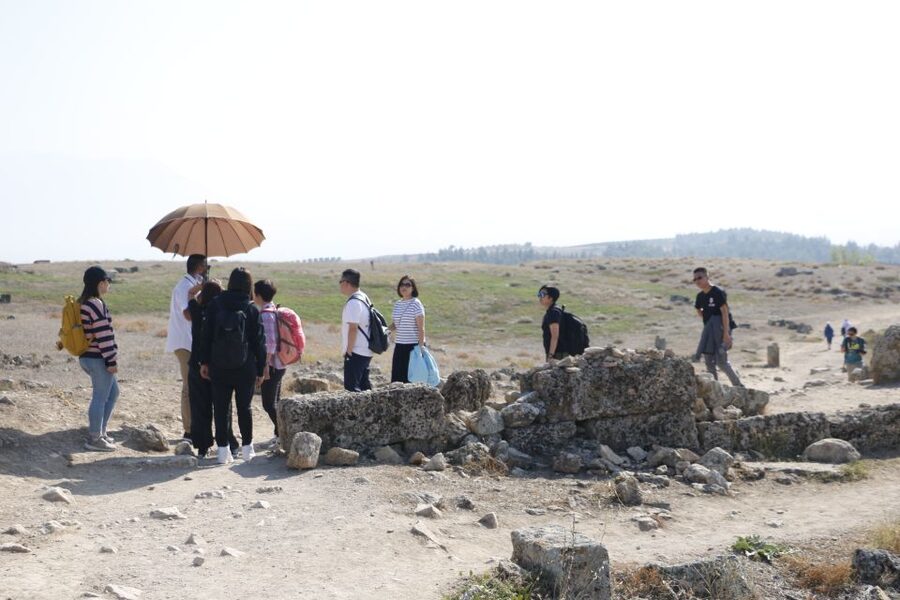 From Istanbul: Ephesus and Pamukkale 2-Day Trip - Day one begins with an early flight to Izmir