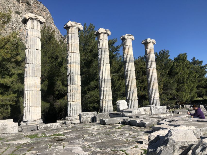 From Kusadasi: Priene, Miletos, and Didyma Private Day Trip - Is $190 per person good value?