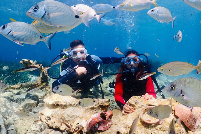 Guided Scuba Diving Experience in Kusadasi - Key points to know before you book