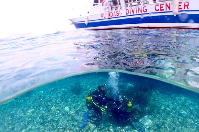 Guided Scuba Diving Experience in Kusadasi - What the Kusadasi scuba experience is really like