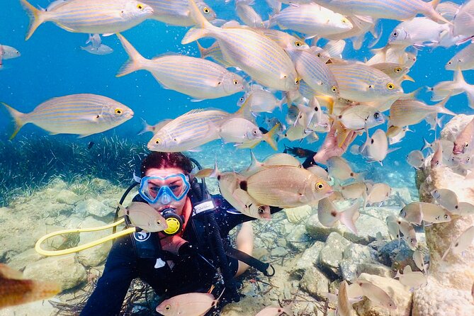 Guided Scuba Diving Experience in Kusadasi - Is $79 a fair price?