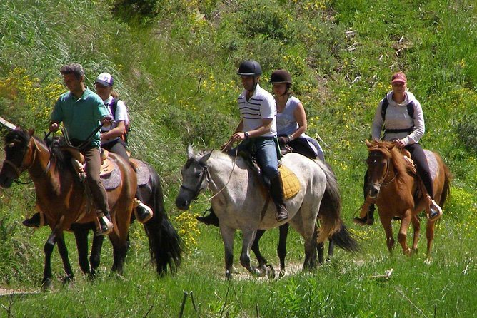 Horse Riding From Kusadasi Port / Hotels - Riding through trees before reaching the beach