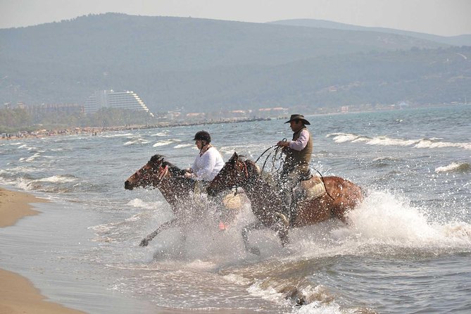 Horse Riding From Kusadasi Port / Hotels - The water option needs a clear conversation