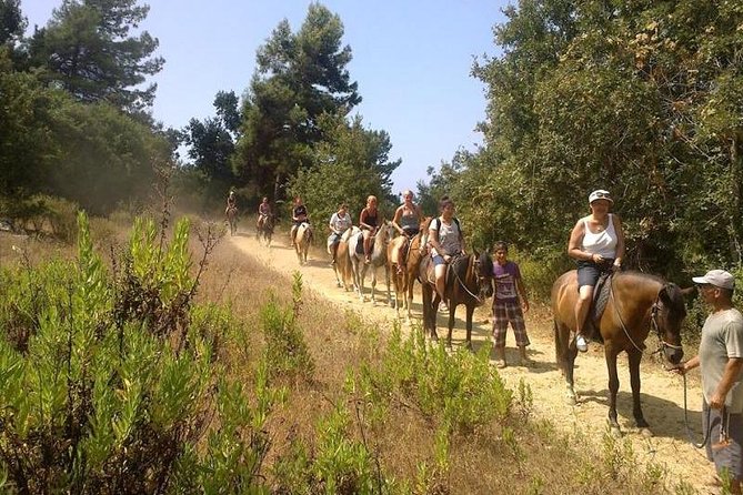 Horseback Riding From Kusadasi Port For Cruise Guests - Morning or afternoon: choosing the better departure