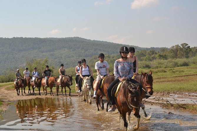 Horseback Riding From Kusadasi Port For Cruise Guests - Who will enjoy this horse safari?