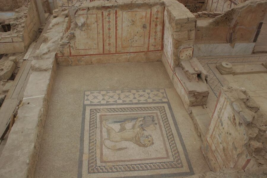 Istanbul: 8-Day Cappadocia, Ephesus, Konya, Pamukkale Tour - Guides, vehicles and group size