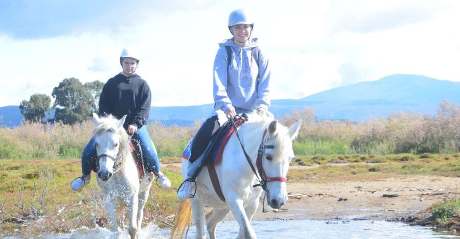Kusadasi: Beach and Forest Horse Riding Tour - Key points to know before booking