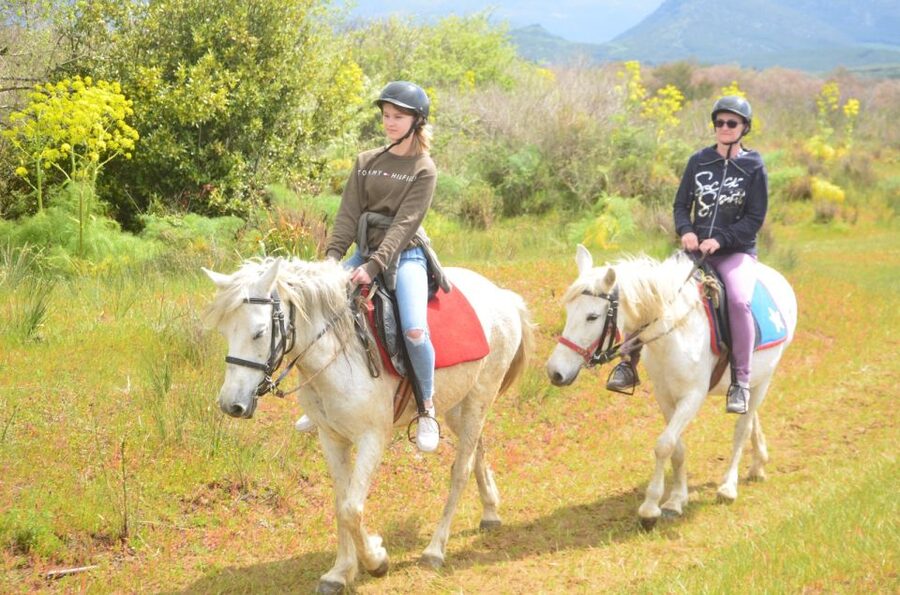Kusadasi: Beach and Forest Horse Riding Tour - From Kusadasi to the horse safari park