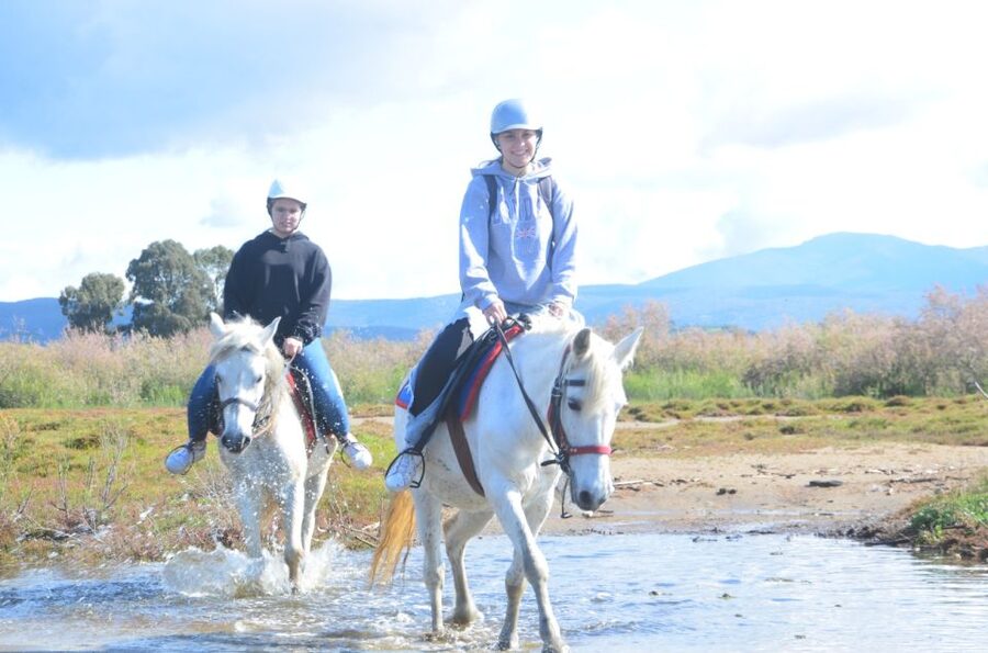 Kusadasi: Beach and Forest Horse Riding Tour - Riding through pine forest and olive groves