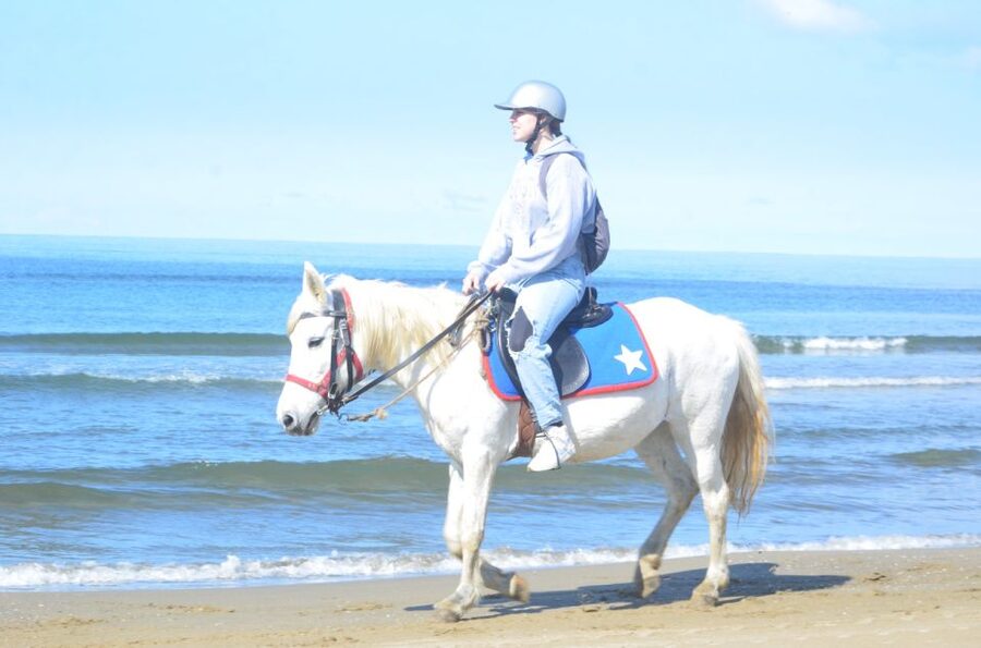 Kusadasi: Beach and Forest Horse Riding Tour - The horses, guides, and pace