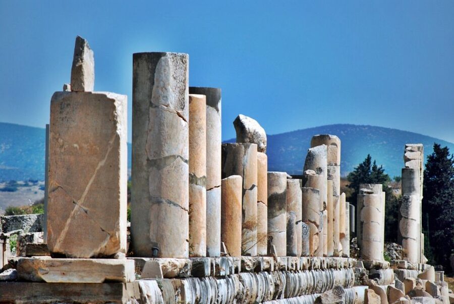 Kusadasi: Ephesus Small Group Tour - The Temple of Artemis in a short visit