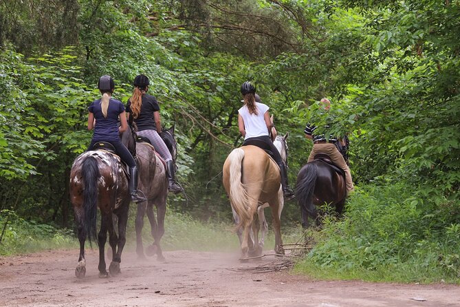 Kusadasi Horse Riding Beach and Forest options with Transfer - From Kusadasi Hotels to a Pine Forest Horse Club