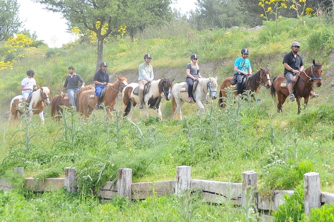 Kusadasi Horse Riding Beach and Forest options with Transfer - The 15-Minute Briefing Makes the Ride Easier