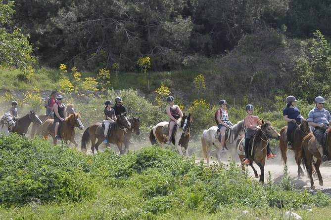 Kusadasi Horse Riding Beach and Forest options with Transfer - Timing, Clothing, and Booking Tips