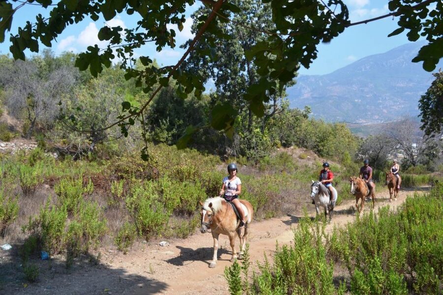Kusadasi: Horse Riding Beach and Forest w/Transfer - From Kusadasi hotel to quiet countryside