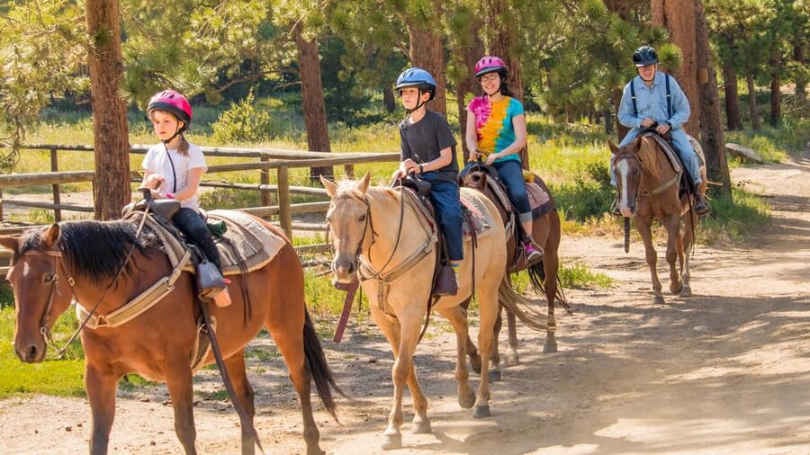 Kusadasi: Horse Riding Beach and Forest w/Transfer - Pine trees, orange groves, and village views