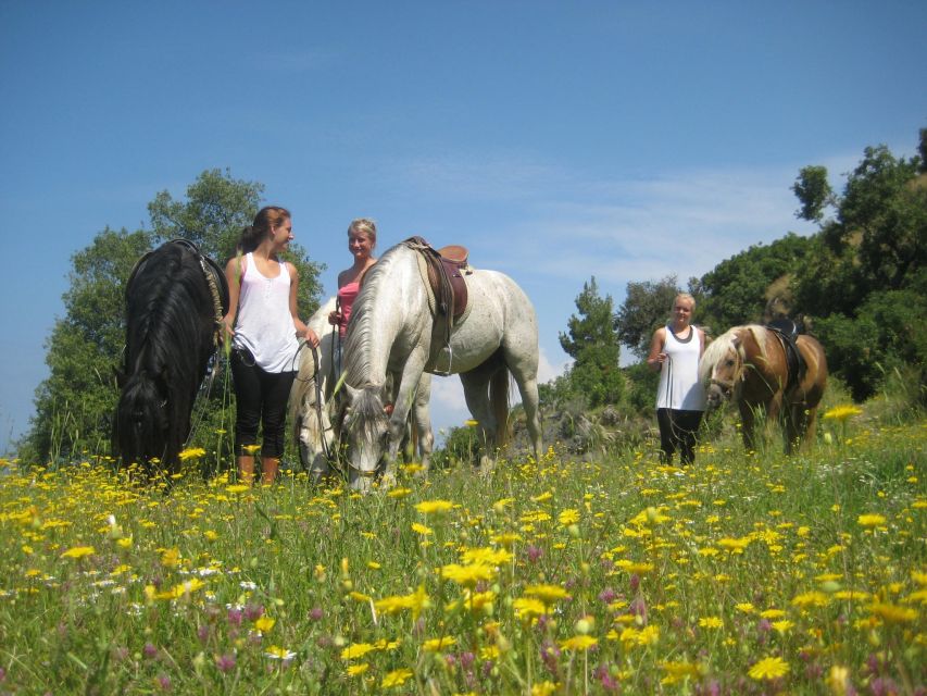 Kusadasi: Horse Riding Beach and Forest w/Transfer - Riding back to the ranch