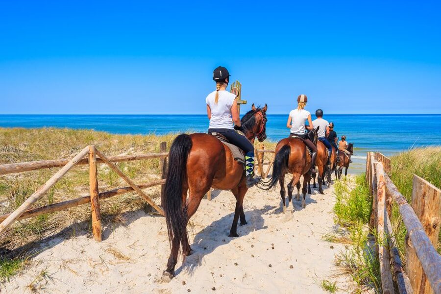 Kusadasi: Horse Riding Beach and Forest w/Transfer - How the $65 price measures up