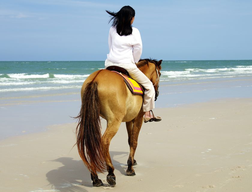 Kusadasi: Horse Riding Beach and Forest w/Transfer - Meeting the horses at the ranch