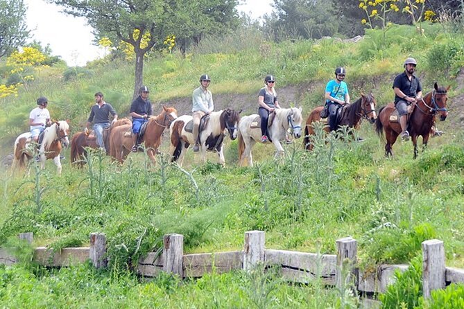 Kusadasi Horse Riding On Beach And Through The River - Riding conditions, noise, and safety
