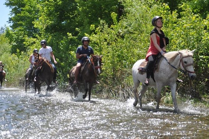 Kusadasi Horseback Riding - Through the bushes and Turkish countryside