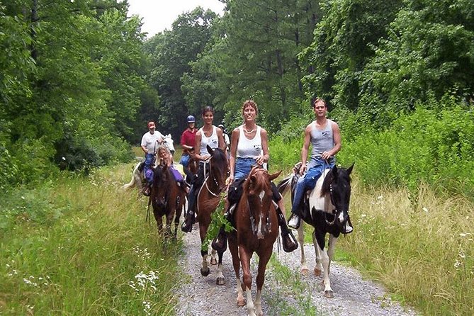 Kusadasi Horseback Riding - What the three-hour promise means