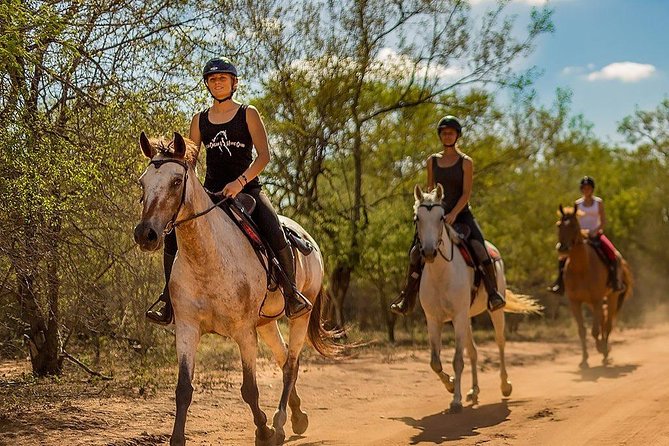 Kusadasi Horseback Riding - Who will enjoy this Kusadasi horse safari