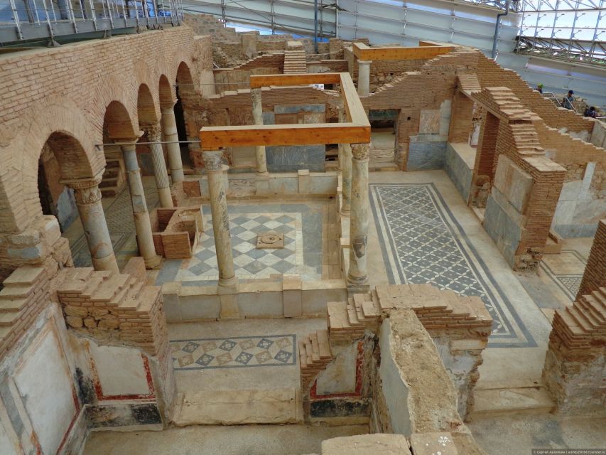 Kusadasi Port: Ephesus & Terrace Houses Tour (Skip-The-Line) - Who should choose this Ephesus tour?