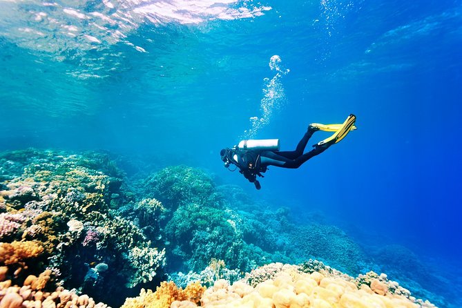 Kusadasi Scuba Diving Experience w/Instructor incl. Transfer - Key points to know before booking
