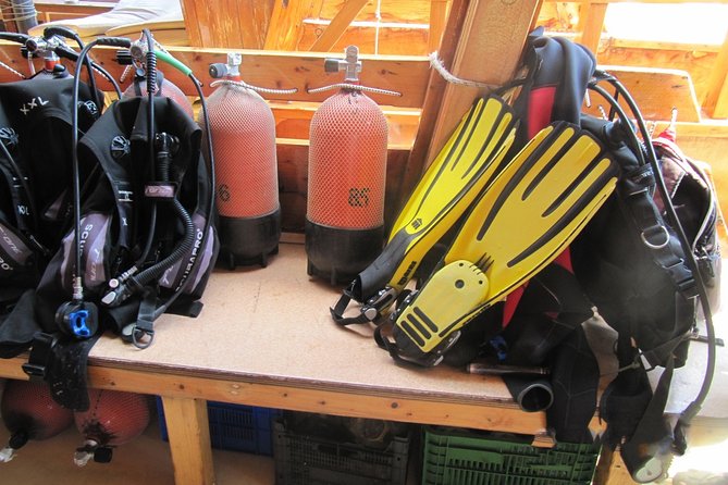 Kusadasi Scuba Diving Experience w/Instructor incl. Transfer - What this Kusadasi scuba experience is really like