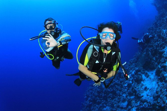 Kusadasi Scuba Diving Experience w/Instructor incl. Transfer - Is $66.08 good value?