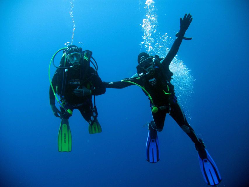 Kusadasi: Scuba Diving for Beginner or Experienced w/ Lunch - From Kusadasi hotel to the harbor