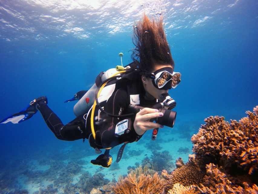 Kusadasi: Scuba Diving for Beginner or Experienced w/ Lunch - Who should book this Kusadasi outing