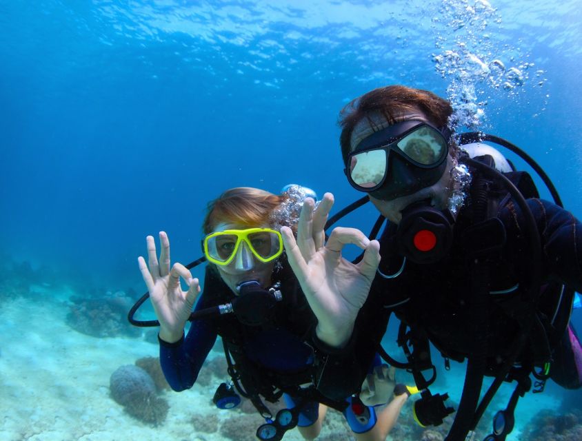 Kusadasi: Scuba Diving for Beginners w/Lunch & Transfer - Key points to know before booking
