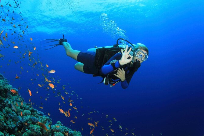 Kusadasi Scuba Diving Tour By Local Experts - Key Points To Know Before Booking