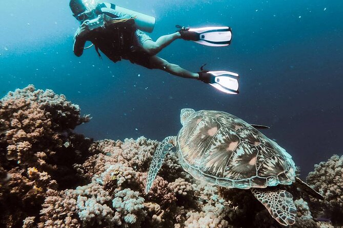 Kusadasi Scuba Diving Tour By Local Experts - What This Kusadasi Scuba Trip Really Offers