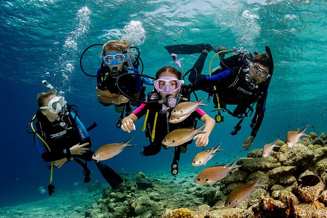 Kusadasi Scuba Diving Tour By Local Experts - The Boat Ride and the Aegean Setting
